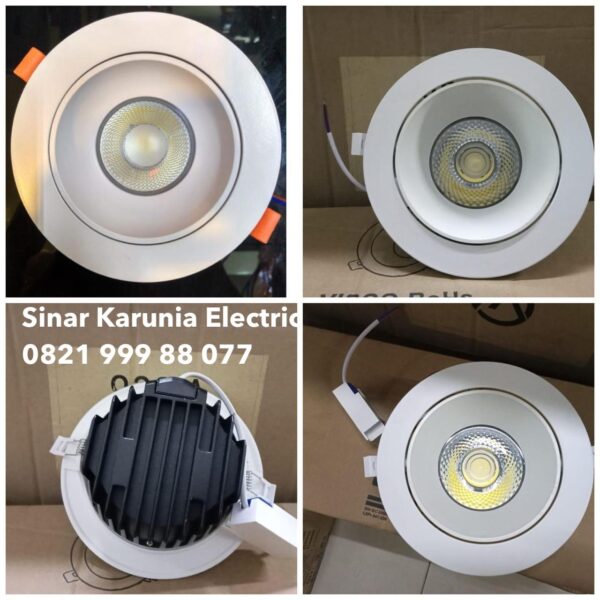 Downlight LED Spotlight 1